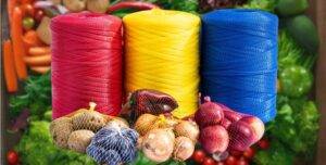 Inoveco and the International Day of Cooperatives 2024